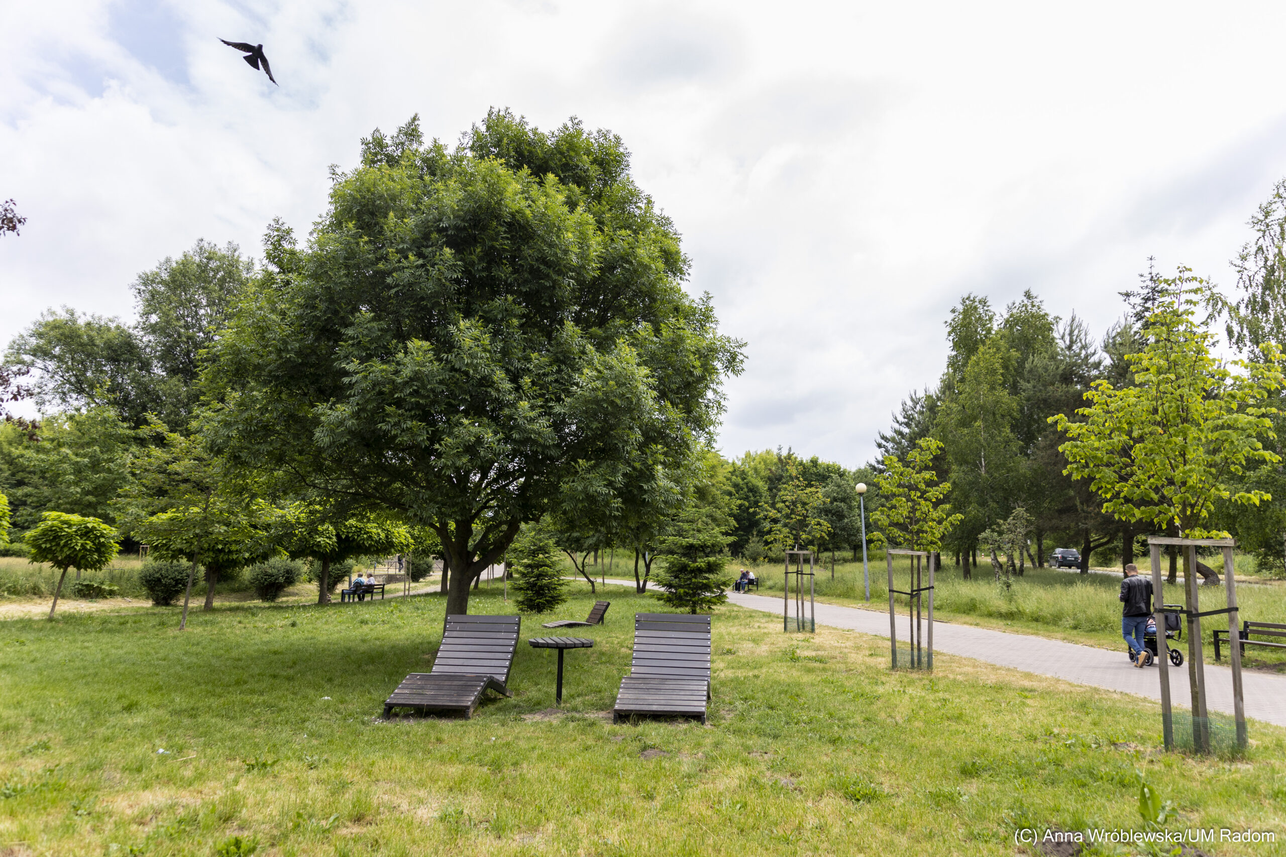 park_poludnie-8