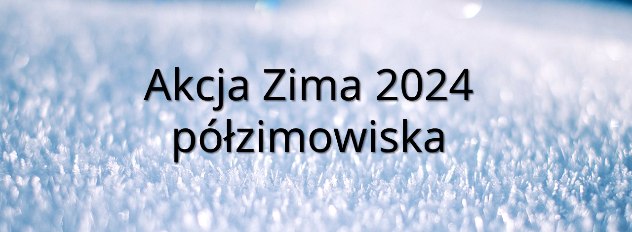 półzimowiskaa
