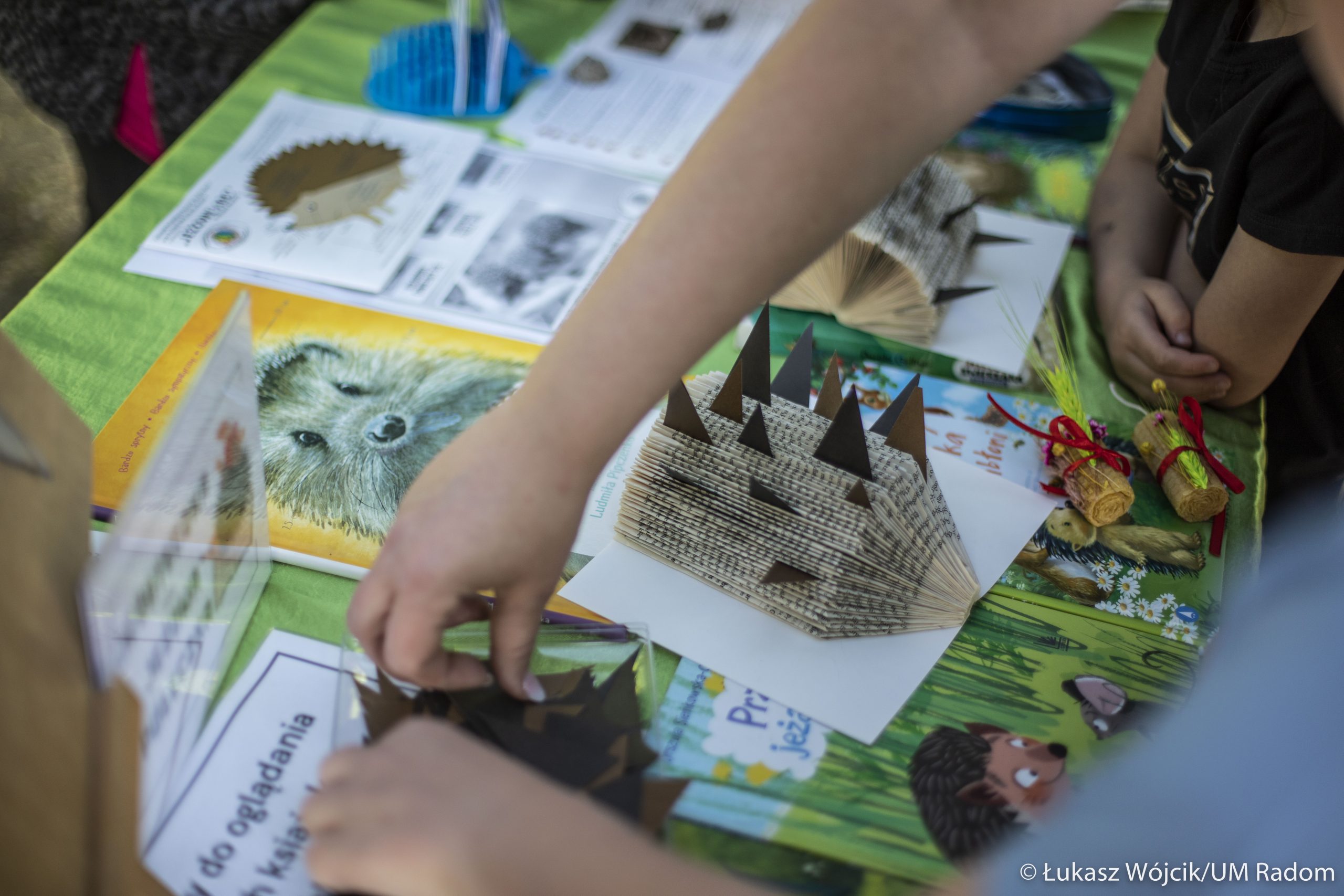 piknik_ekologiczny-3